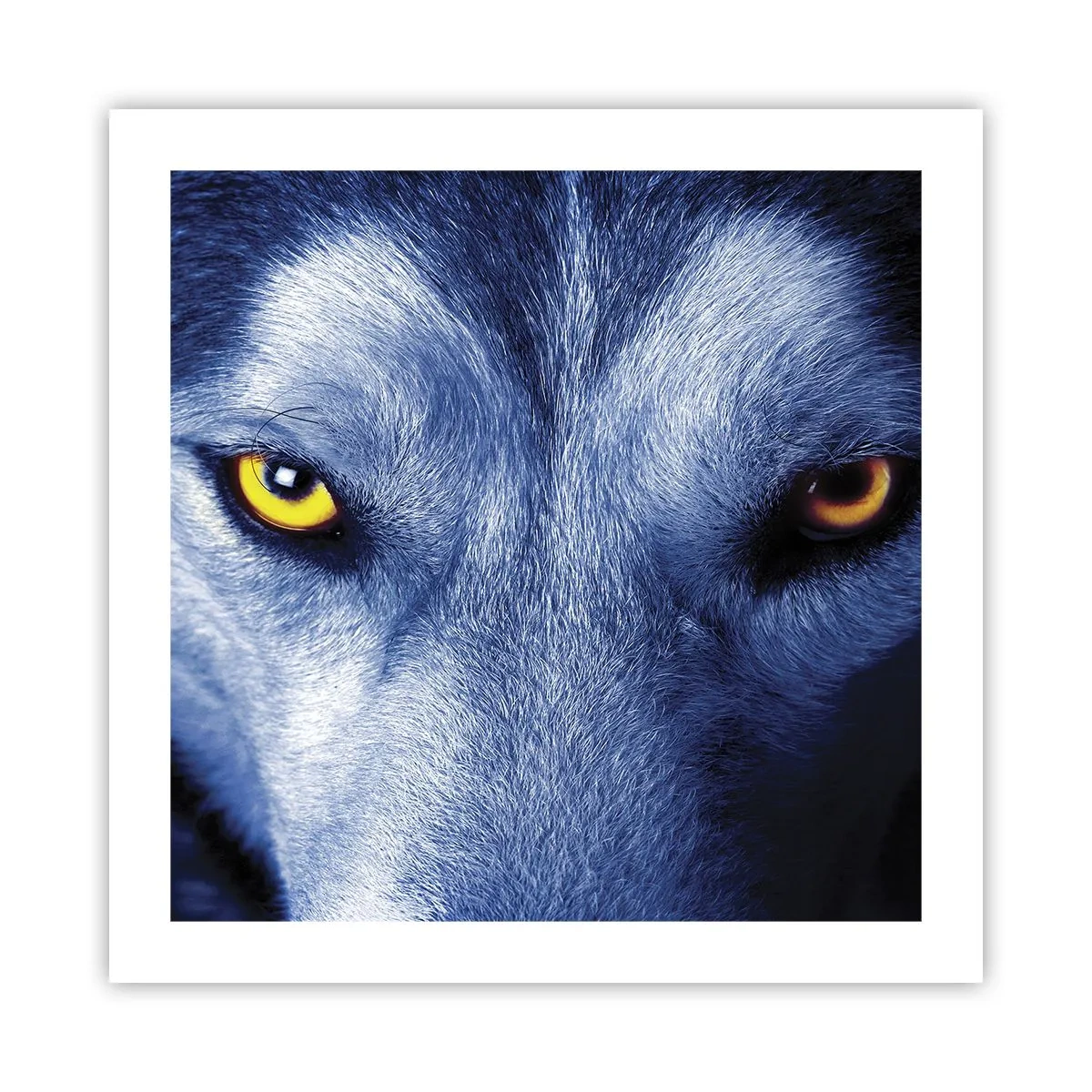 Poster - Betoverende look - 50x50 cm