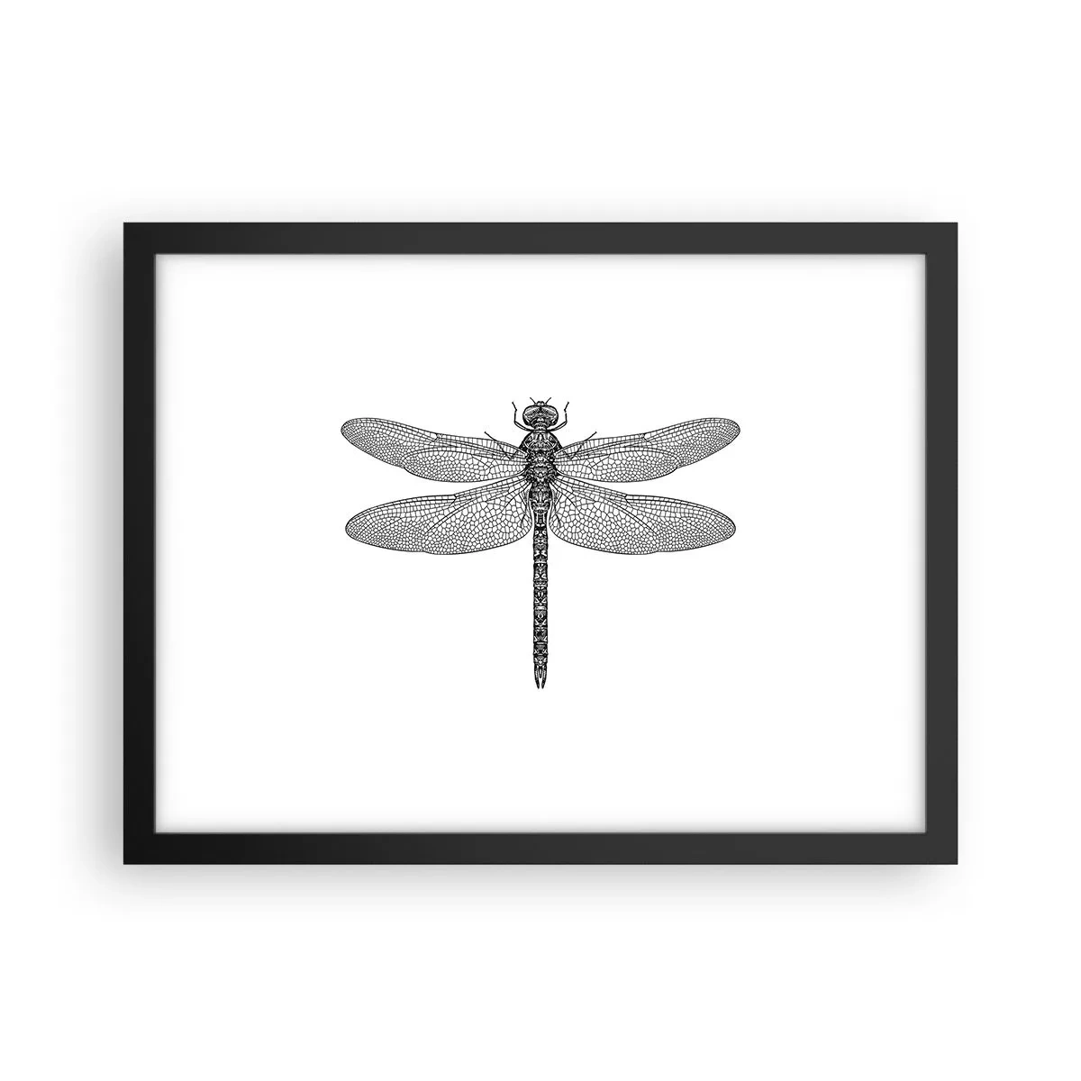 Poster in een zwarte lijst - Precisie van de natuur - 40x30 cm