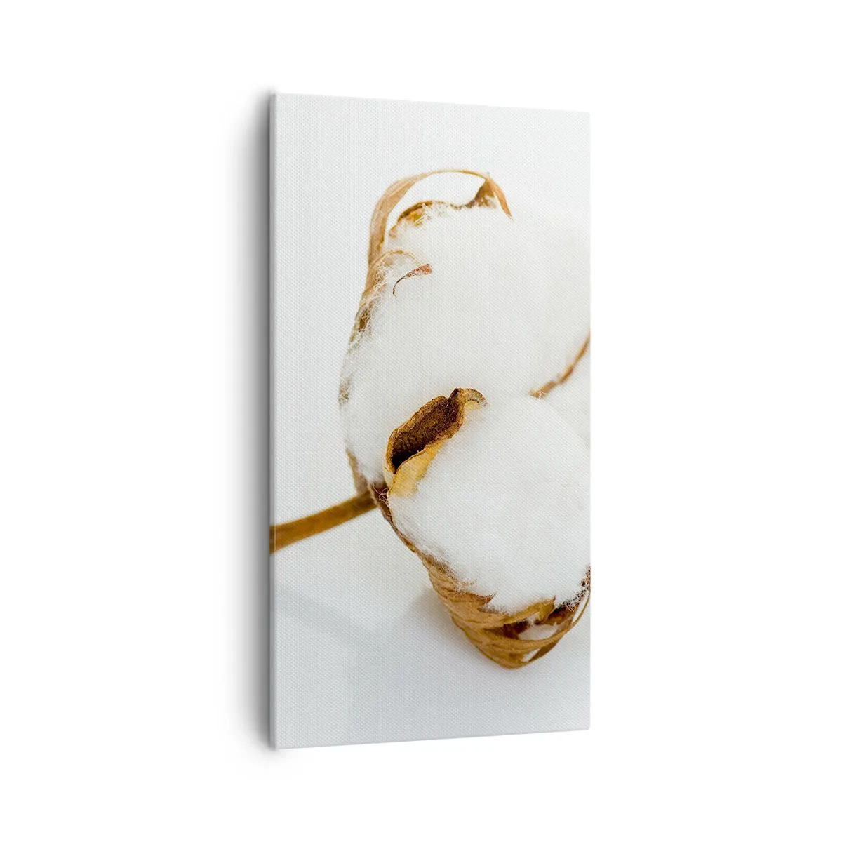 Schilderen op canvas - Zacht van aard - 55x100 cm