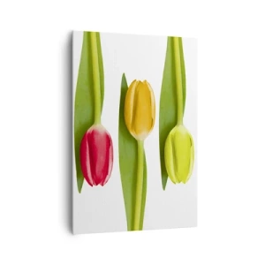 Schilderen op canvas - Regenboog compositie - 70x100 cm