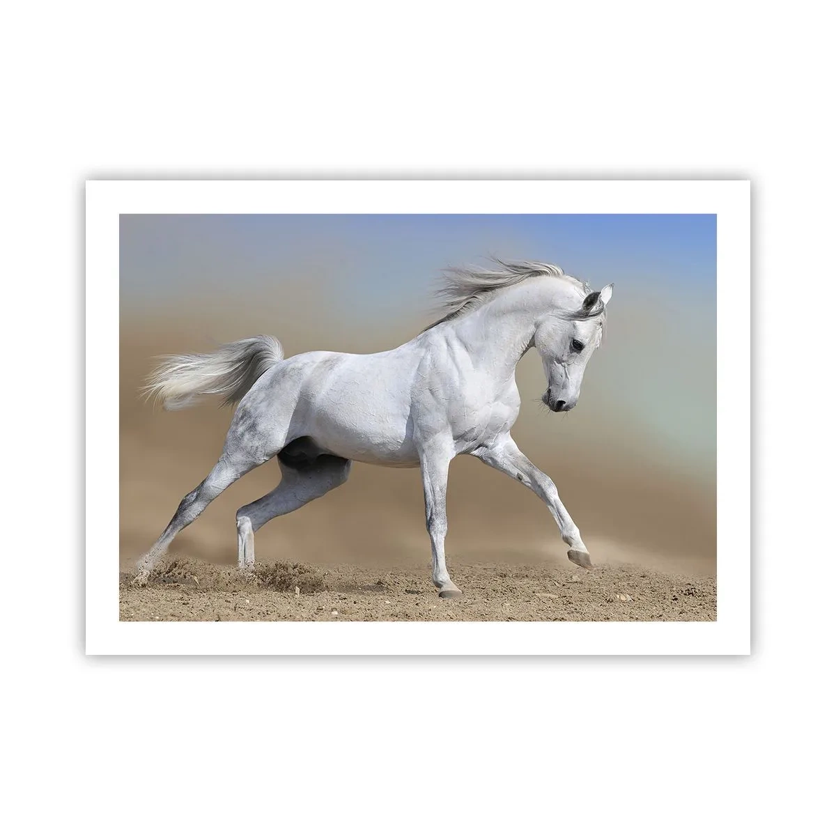 Poster - Het mooiste Arabische sprookje - 70x50 cm