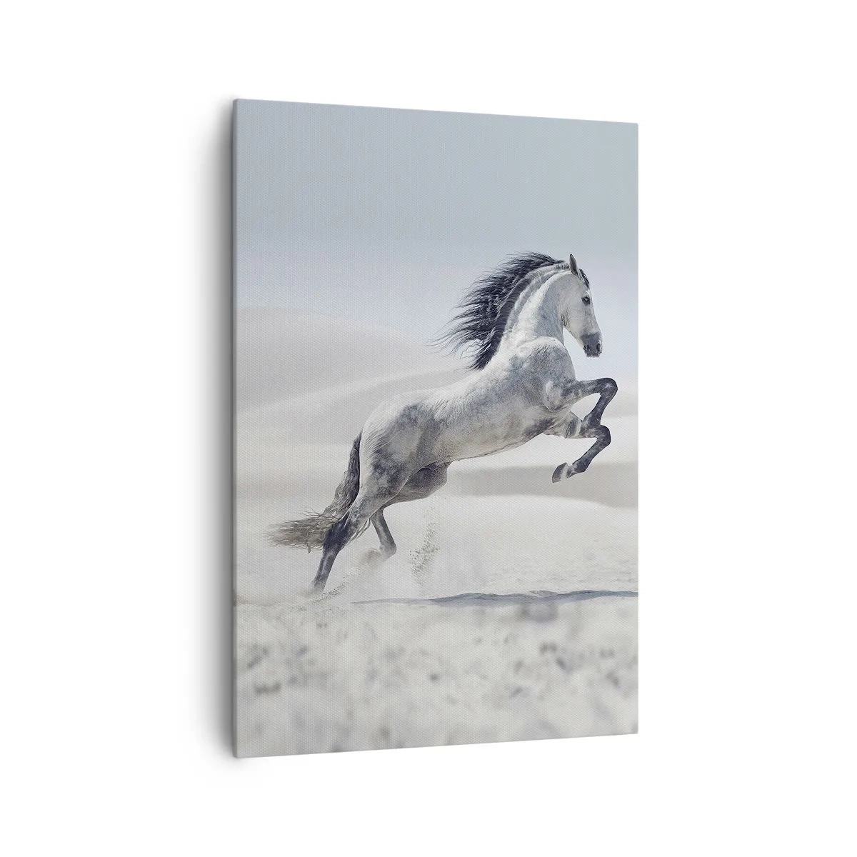 Schilderen op canvas - Arabische prins - 70x100 cm