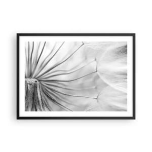 Poster in een zwarte lijst - Paardebloemen, vliegers - 70x50 cm