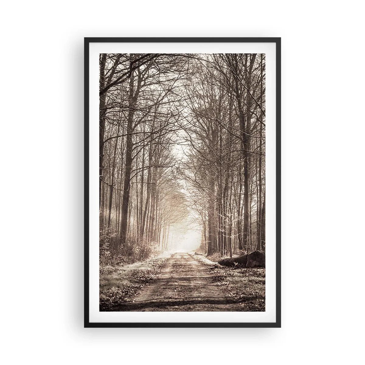 Poster in een zwarte lijst - Boskathedraal - 61x91 cm