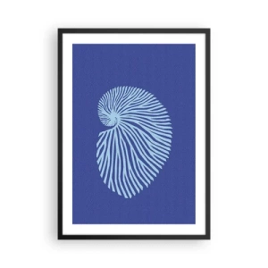 Poster in een zwarte lijst - Gestileerde schelpafbeeldingen in een spiraalvorm - 50x70cm - De geboorte van de schelp - Moderne wanddecoratie voor woonkamer en slaapkamer ARTTOR