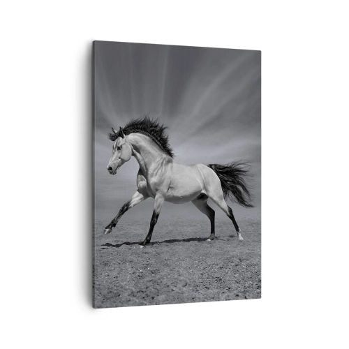 Schilderen op canvas - Geboren om te genieten - 50x70 cm