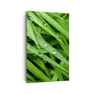 Schilderen op canvas - Speel groen - 80x120 cm