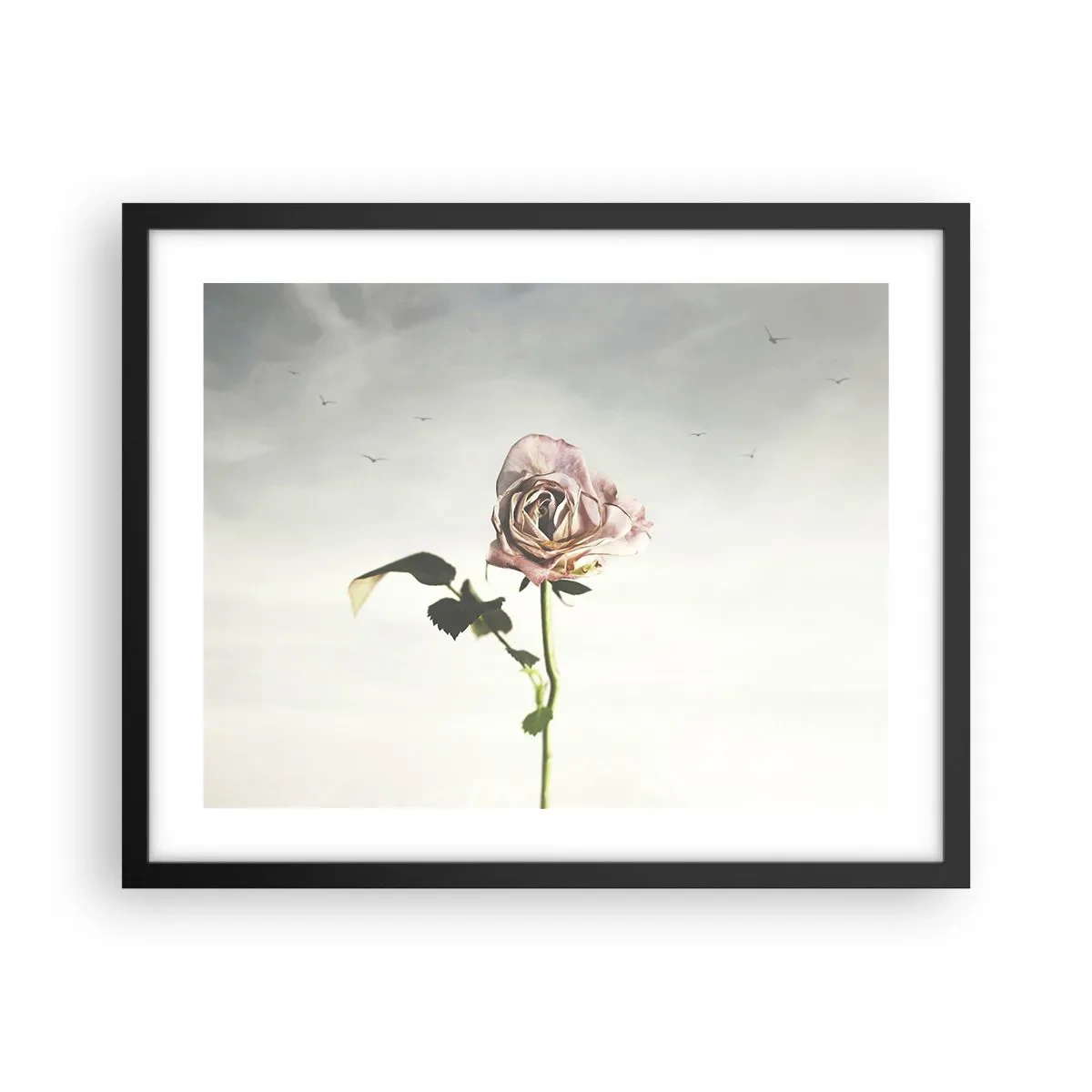 Poster in een zwarte lijst - Begroeting van de lente - 50x40 cm