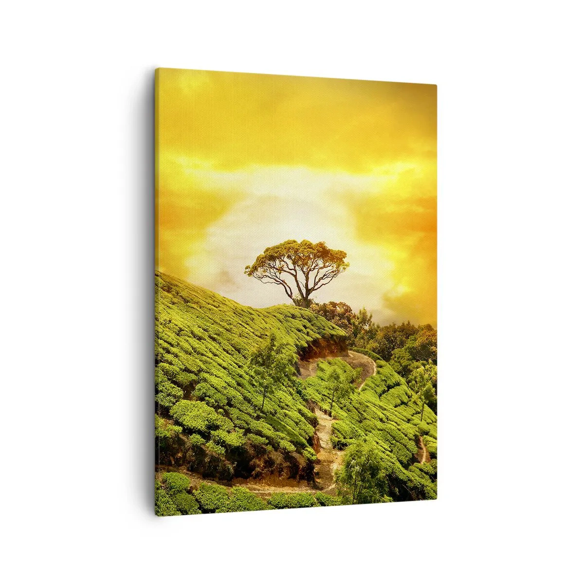 Schilderen op canvas - Een kronkelend pad, een groene helling - 50x70 cm