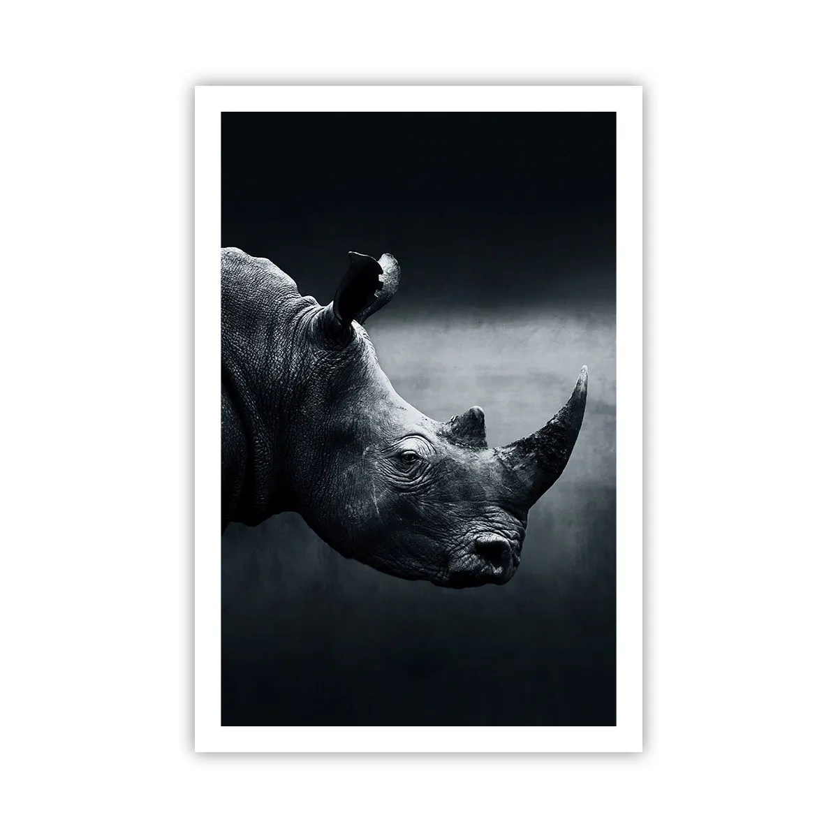 Poster - Rechts profiel - 61x91 cm