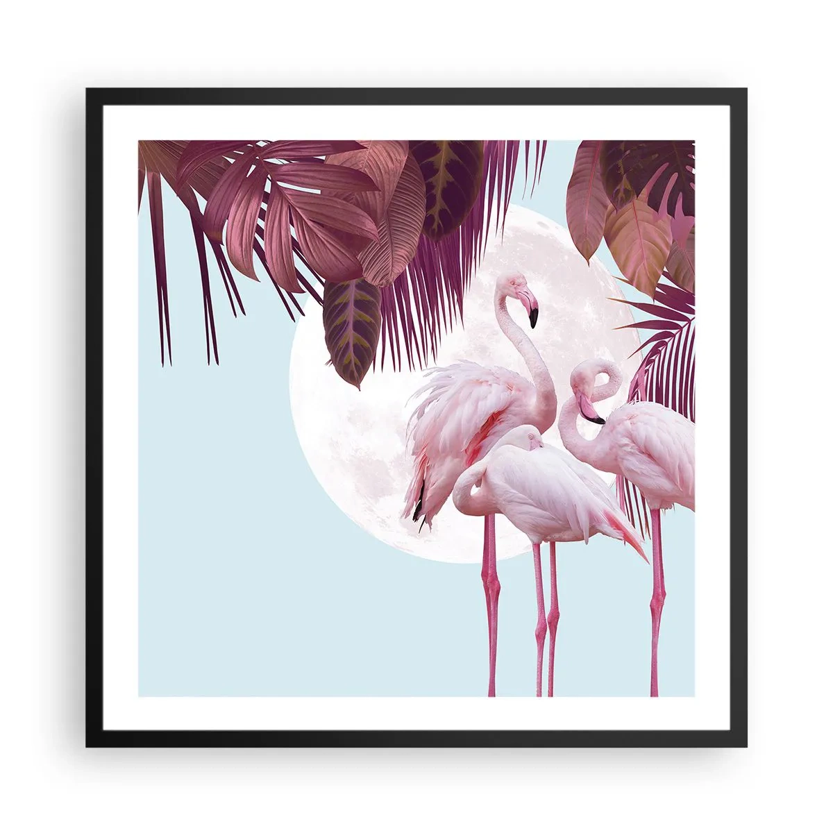 Poster in een zwarte lijst - Drie vogel genaden - 60x60 cm