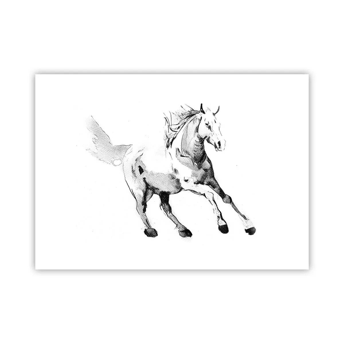 Poster - Ongetemde ziel - 70x50 cm