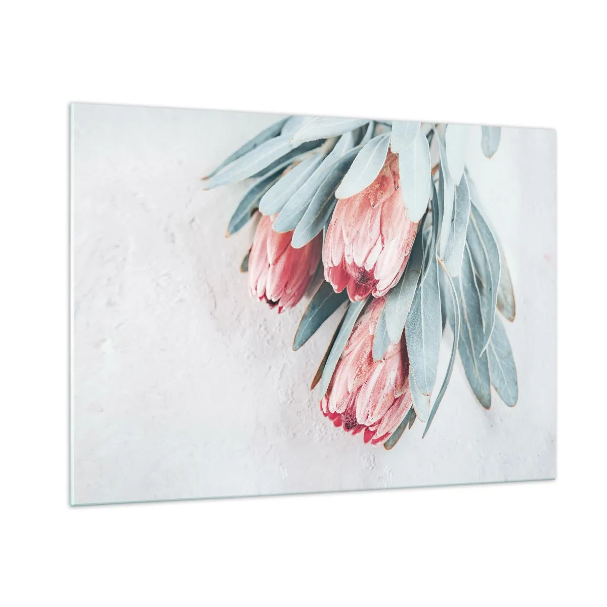 Schilderen op glas - Schaamt zich voor hun eigen schoonheid - 100x70 cm