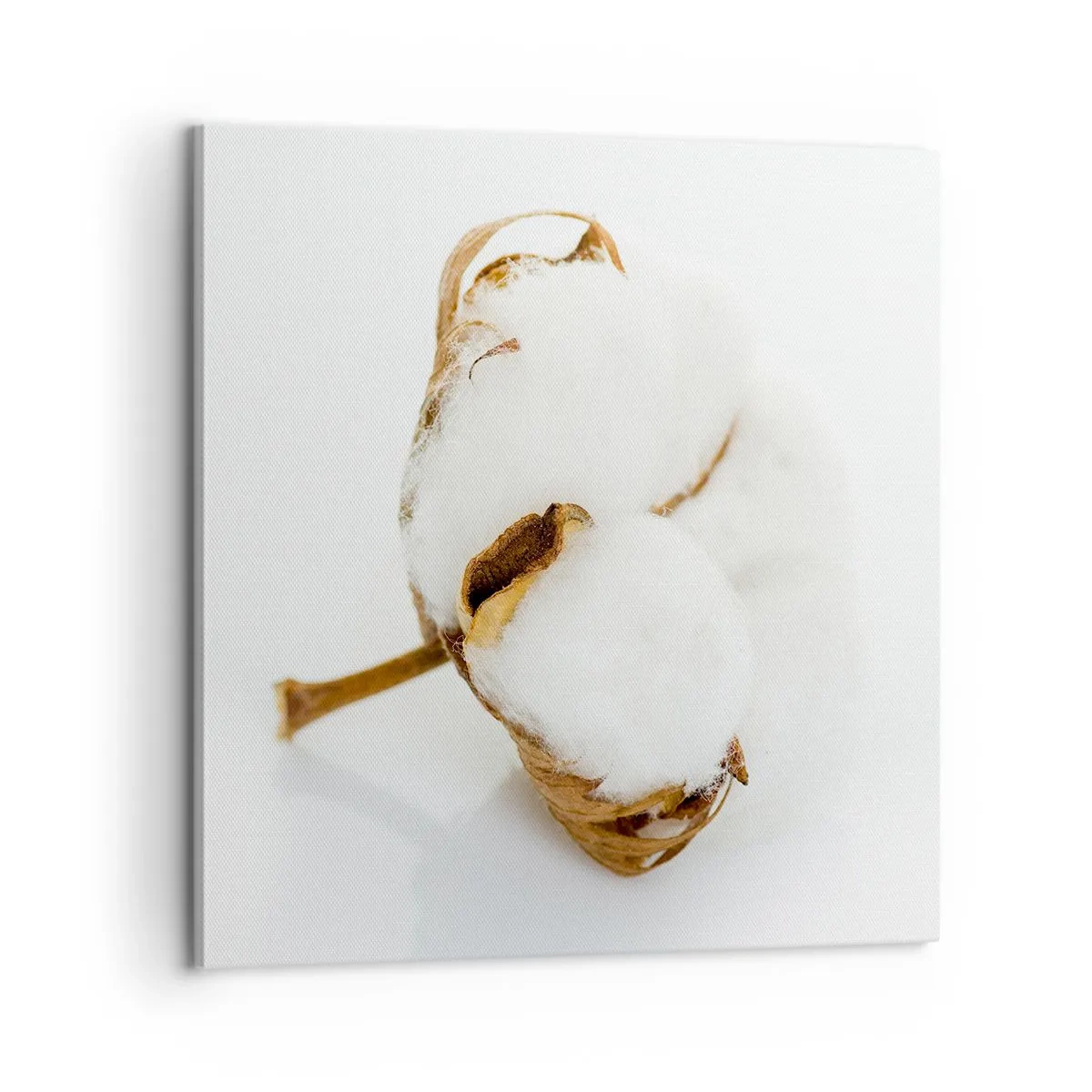 Schilderen op canvas - Zacht van aard - 60x60 cm
