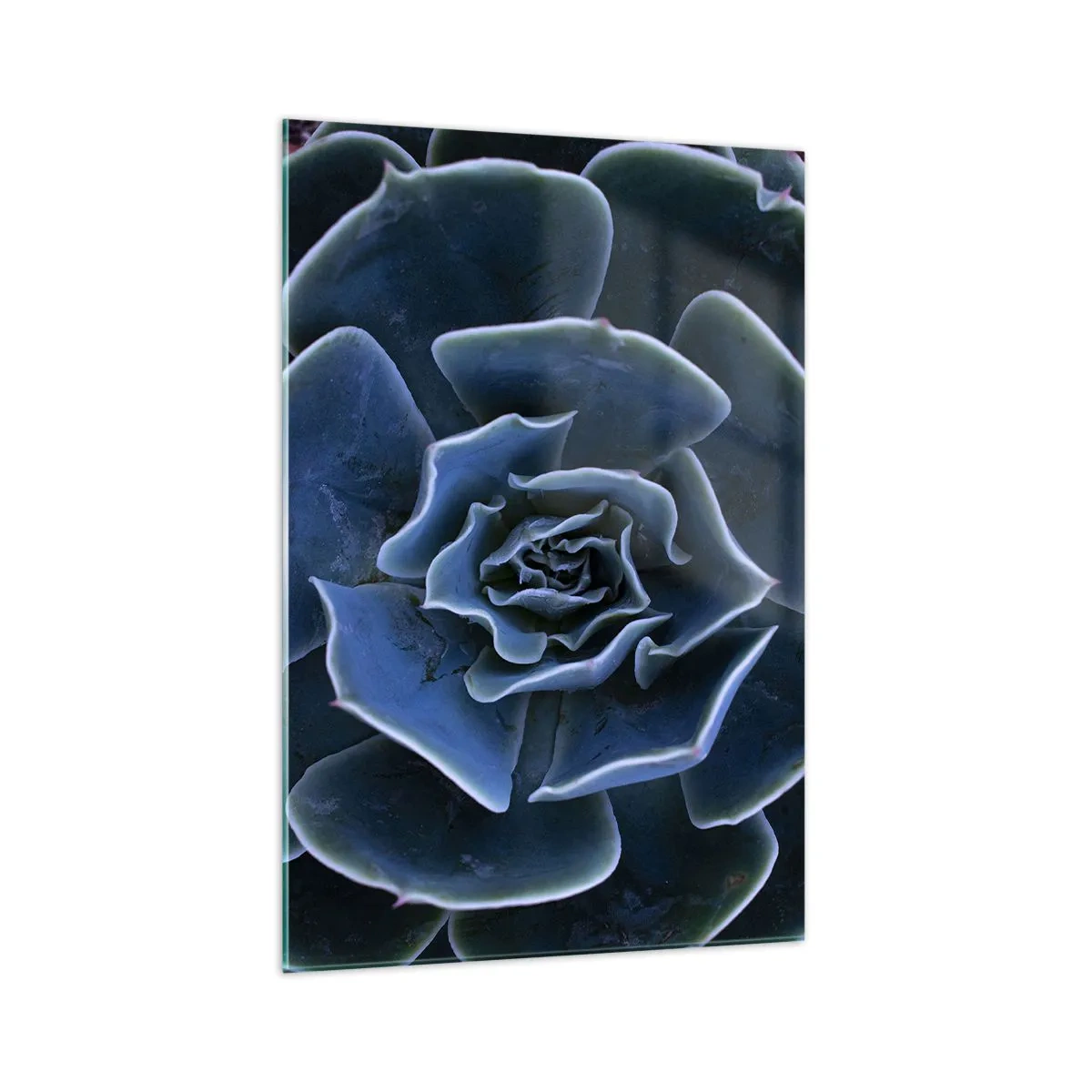 Schilderen op glas - Woestijn bloem - 70x100 cm