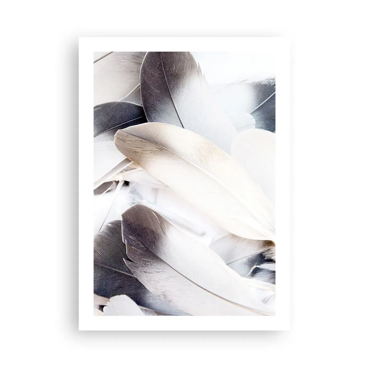 Poster - Bijna engelachtig - 50x70 cm