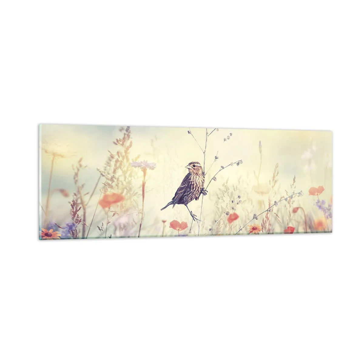 Schilderen op glas - Vogelportret met een weiland op de achtergrond - 90x30 cm