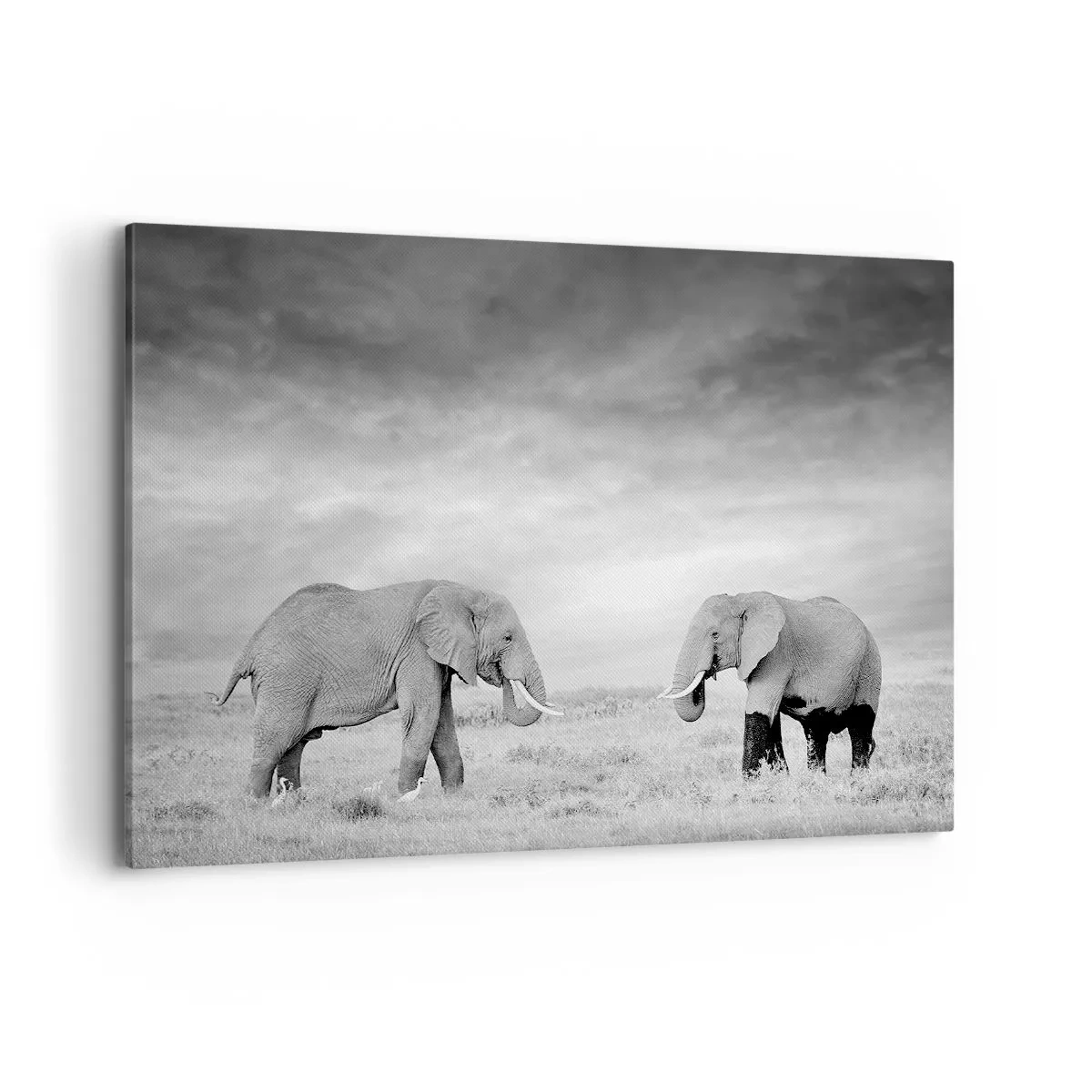 Schilderen op canvas - Grijs is mooi - 120x80 cm