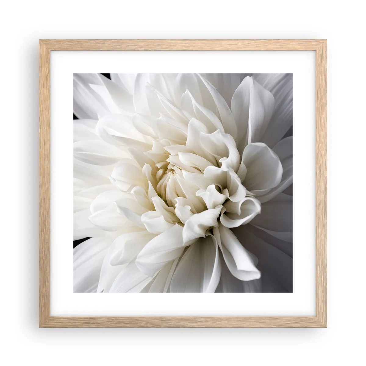 Een poster in een licht eiken lijst - Ochtend van de bruid - 40x40 cm