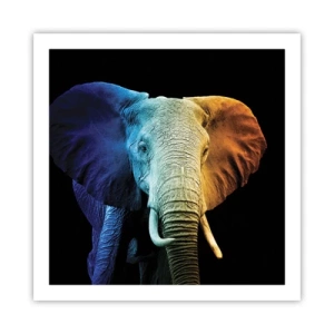 Poster - Excentriek, niet raar - 60x60 cm