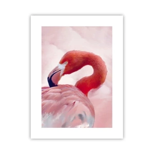 Poster - Vogel schoonheid - 30x40 cm