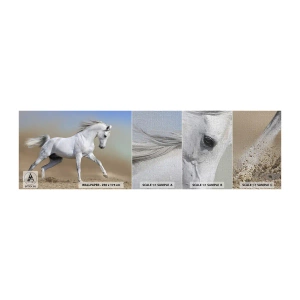 Fotobehang Monster Premium Canvas - Het mooiste Arabische sprookje - Paard, Dieren, Galop - 100x30 cm