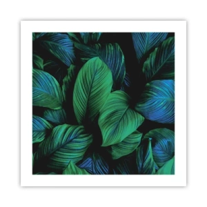 Poster - In de groene menigte - 50x50 cm