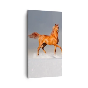 Schilderen op canvas - Dansende elegantie - 45x80 cm