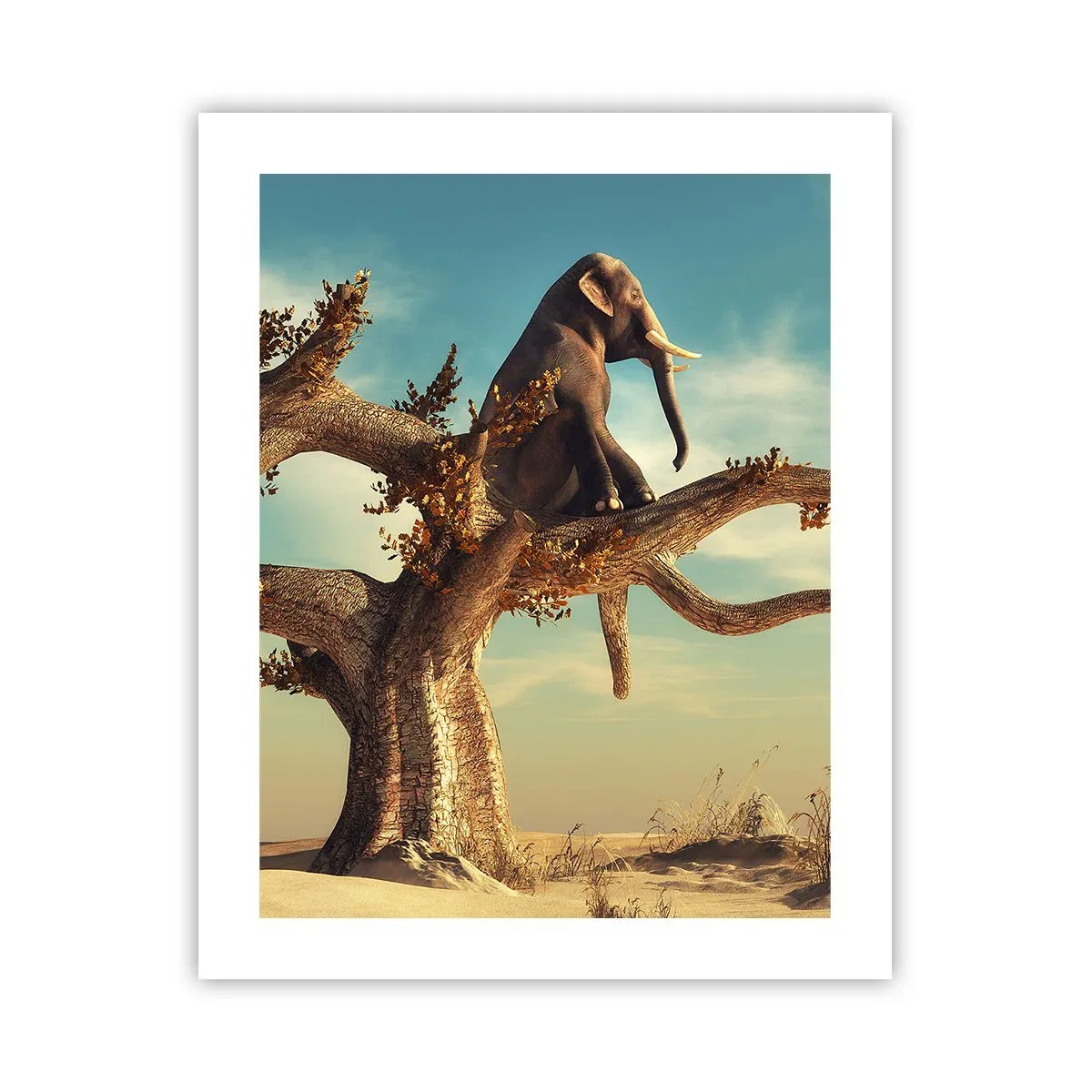 Poster - Een nieuw gezichtspunt - 40x50 cm