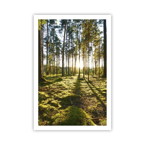Poster - … Achter de zeven bossen - 61x91 cm