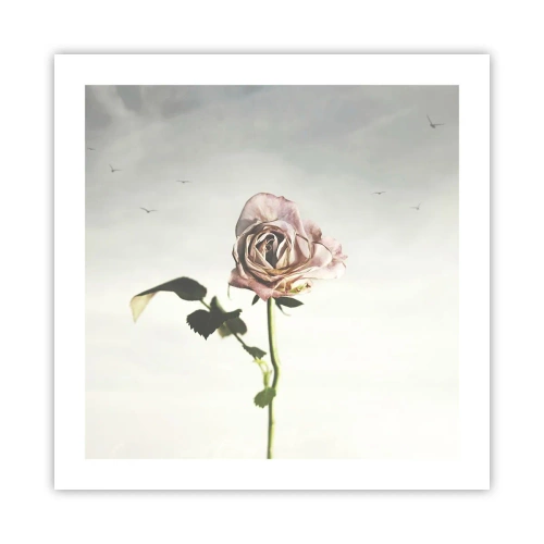Poster - Begroeting van de lente - 50x50 cm