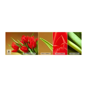 Fotobehang Staaltje Standard Eco - Een bos van lentevreugde - Bloemen, Tulpen, Boeket bloemen - 100x30 cm