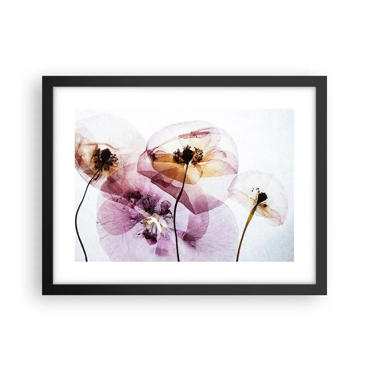 Poster in een zwarte lijst - Transparante lichaamsbloemen - 40x30 cm