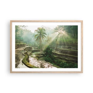 Een poster in een licht eiken lijst - Opgroeien in de zon - 70x50 cm