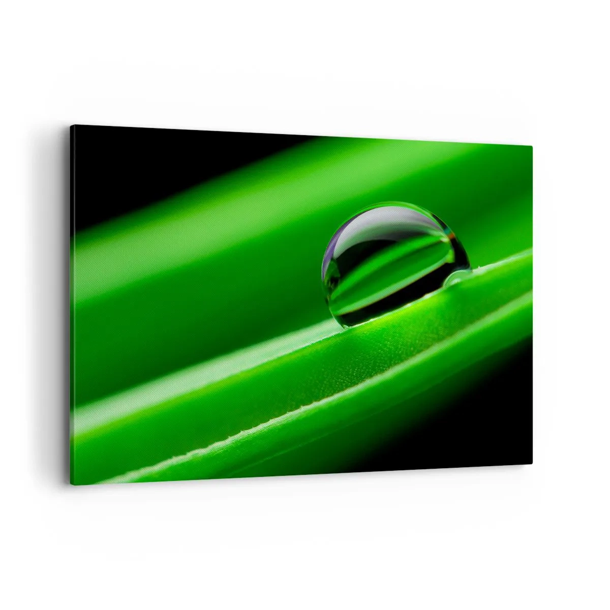 Schilderen op canvas - Leven van dichtbij - 120x80 cm