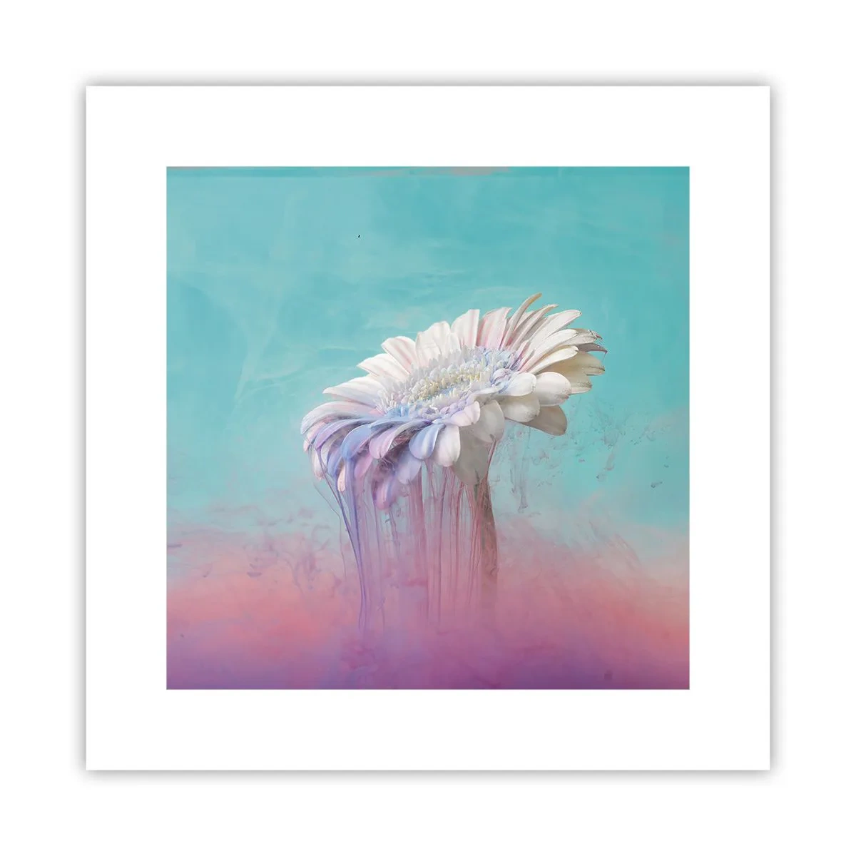 Poster - De bloemenonderwereld - 30x30 cm