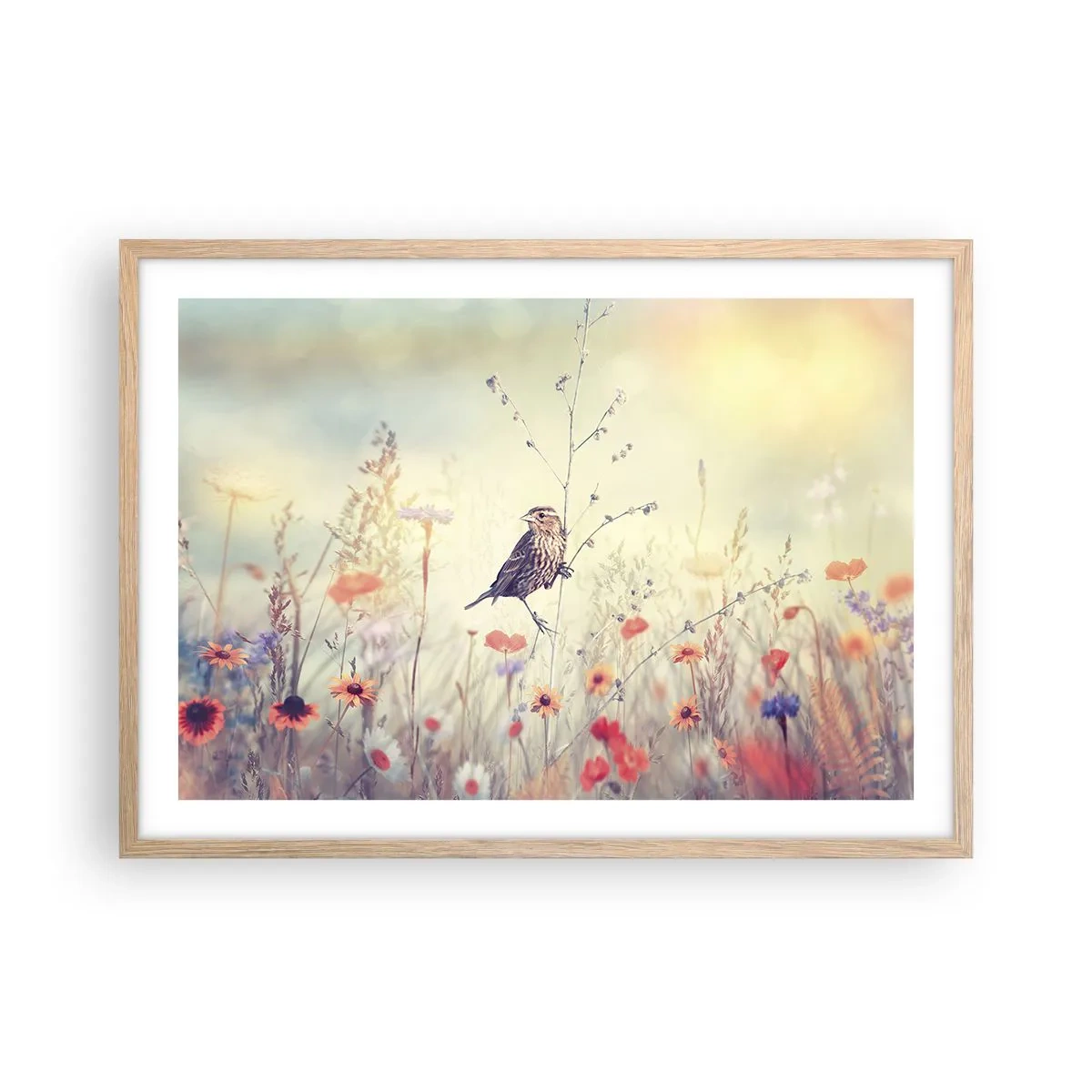 Een poster in een licht eiken lijst - Vogelportret met een weiland op de achtergrond - 70x50 cm