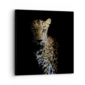 Schilderen op canvas - Donkere schoonheid - 30x30 cm
