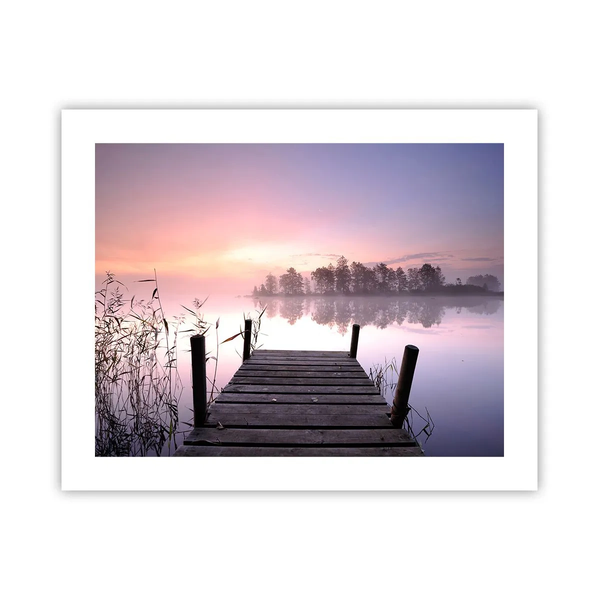 Poster - Van de lila mist... - 50x40 cm