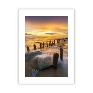 Poster - De rauwe schoonheid van de Oostzee - 30x40 cm