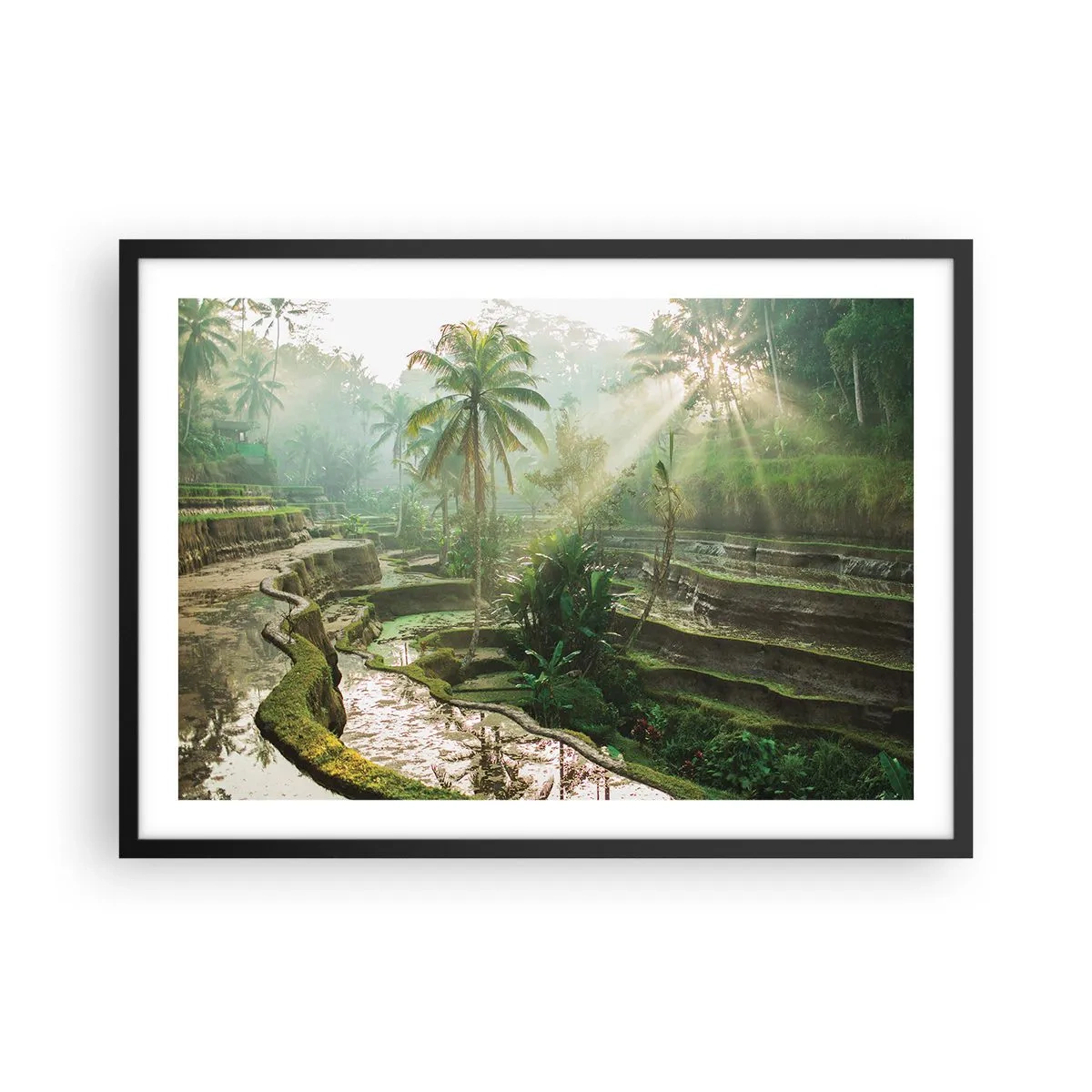 Poster in een zwarte lijst - Opgroeien in de zon - 70x50 cm