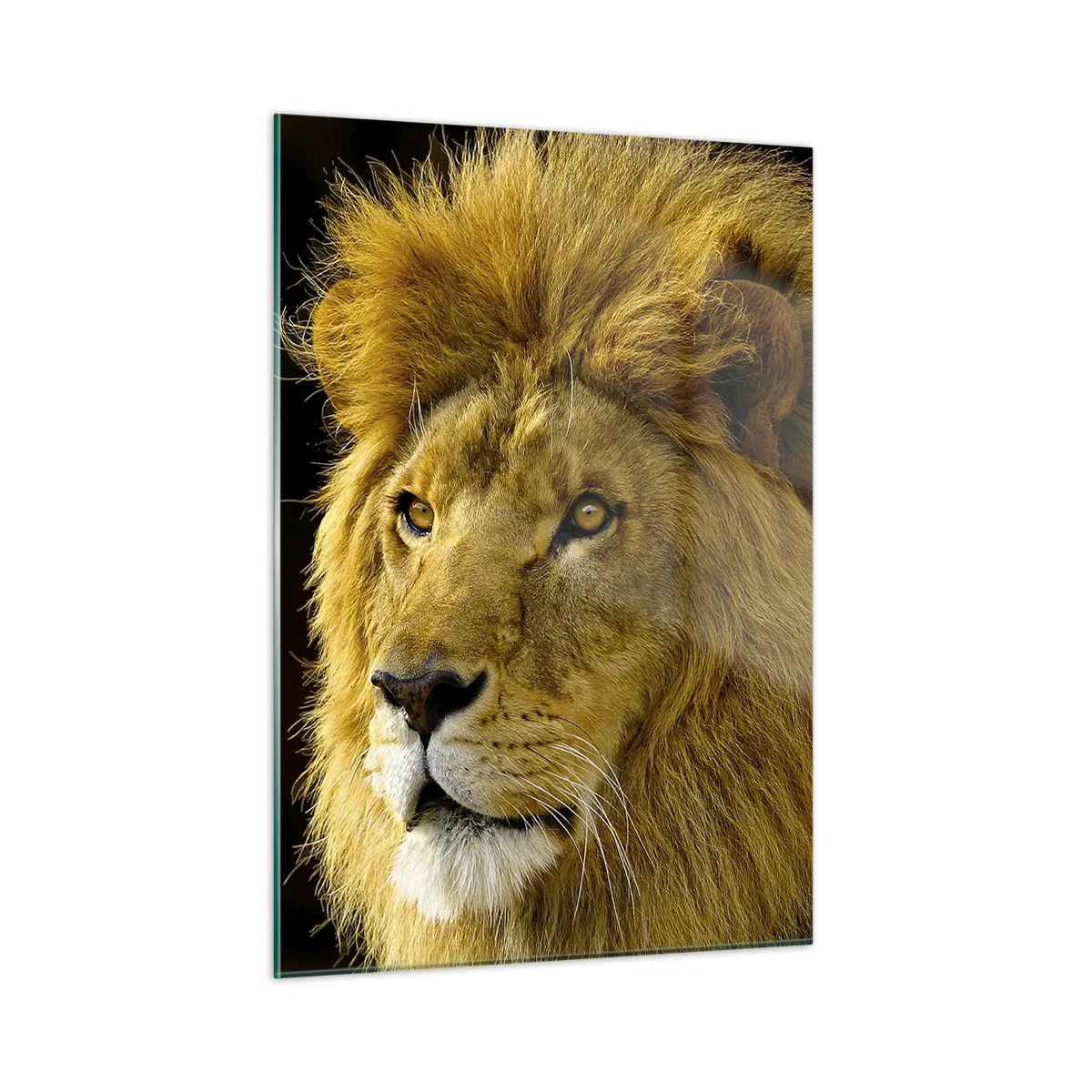 Schilderen op glas - Portret van de koning - 50x70 cm