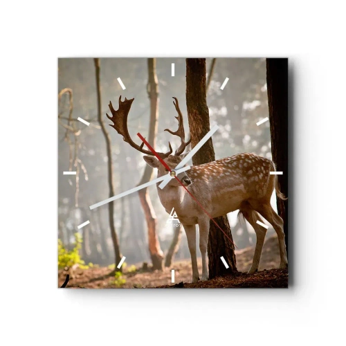 Wandklok - Klok - Het licht van de jeugd - 40x40 cm