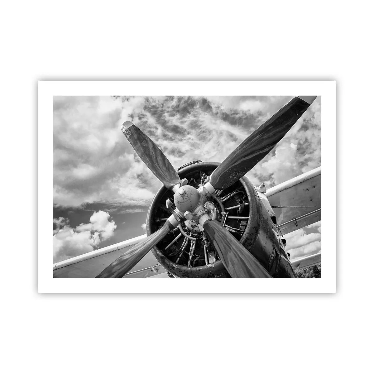 Poster - Veroveraar van de lucht - 70x50 cm