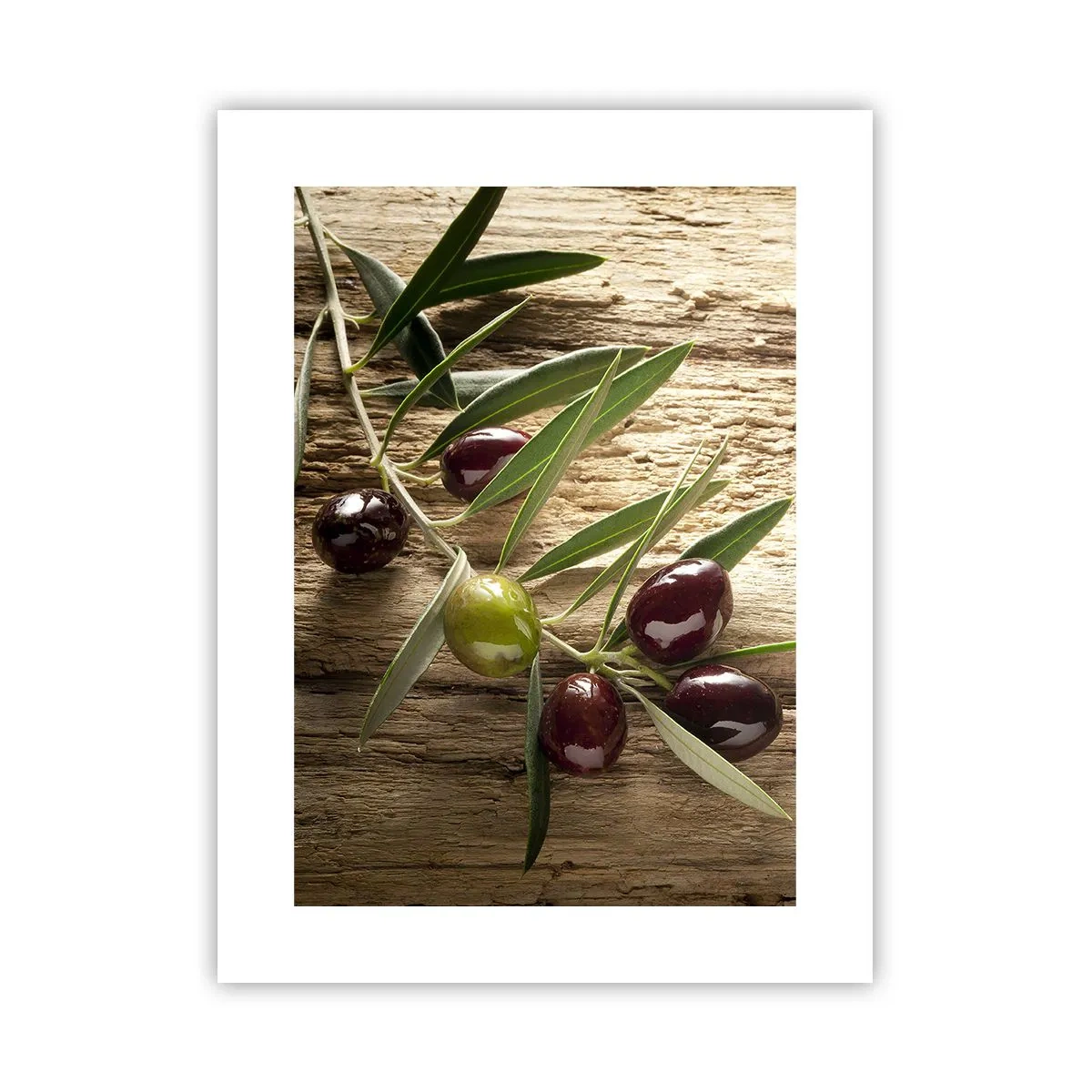 Poster - Rechtstreeks uit de natuur - 30x40 cm