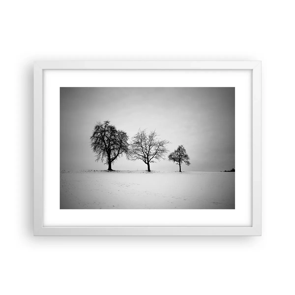 Poster in een witte lijst - Waar dromen ze over? - 40x30 cm