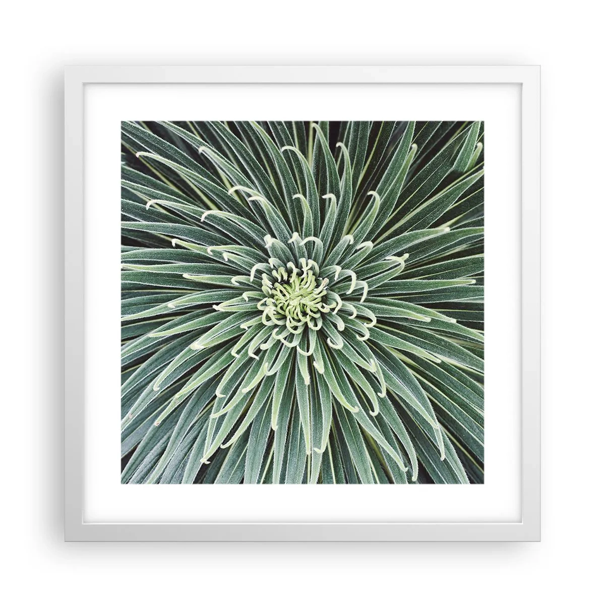 Poster in een witte lijst - Een ster is geboren - 40x40 cm