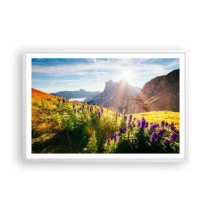 Poster in een witte lijst - Het geheime leven van kruiden - 91x61 cm