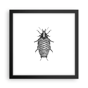 Poster in een zwarte lijst - Wat een exemplaar! - 30x30 cm