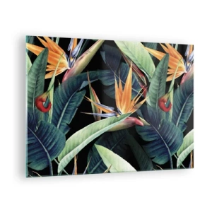 Schilderen op glas - Strelitzia-bloemen en tropische bladeren op een zwarte achtergrond - 70x50cm - Vlammende bloemen van de tropen - Moderne wanddecoratie voor woonkamer en slaapkamer ARTTOR